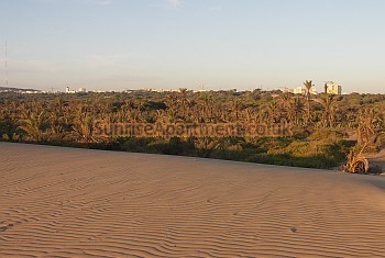 Guardamar town and natural park from the beach